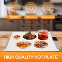 electric-warming-tray---foldable-food-wa-4.jpg