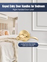 ehomeware-1-pack-entry-door-handles-gold-4.jpg