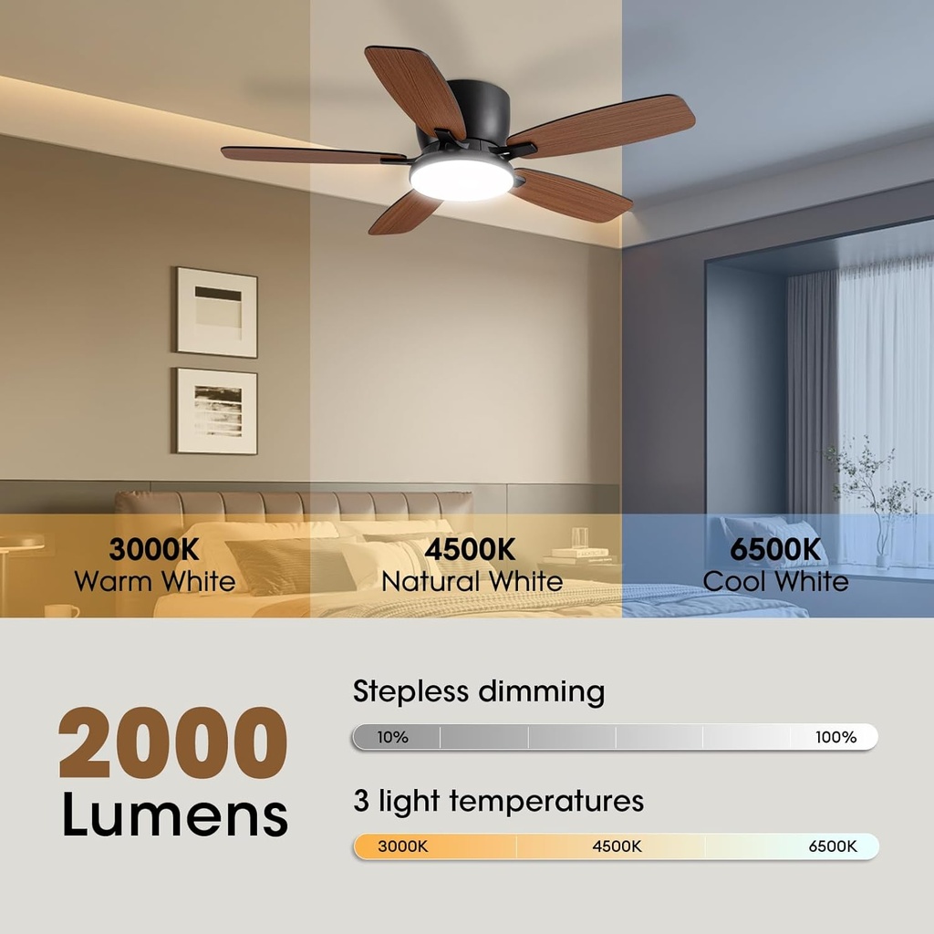 ceiling-fans-with-lights-44-low-profile--3.jpg