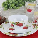 reston-lloyd-12pc-melamine-dinnerware-se-6.jpg
