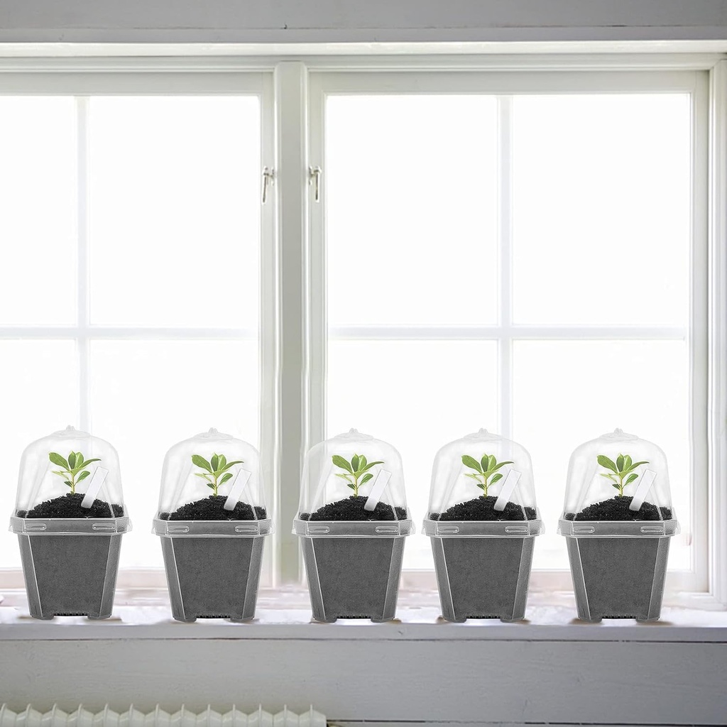 ebaokuup-10pcs-clear-plant-nursery-pots--4.jpg