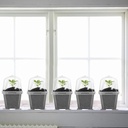 ebaokuup-10pcs-clear-plant-nursery-pots--4.jpg