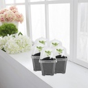 ebaokuup-10pcs-clear-plant-nursery-pots--6.jpg