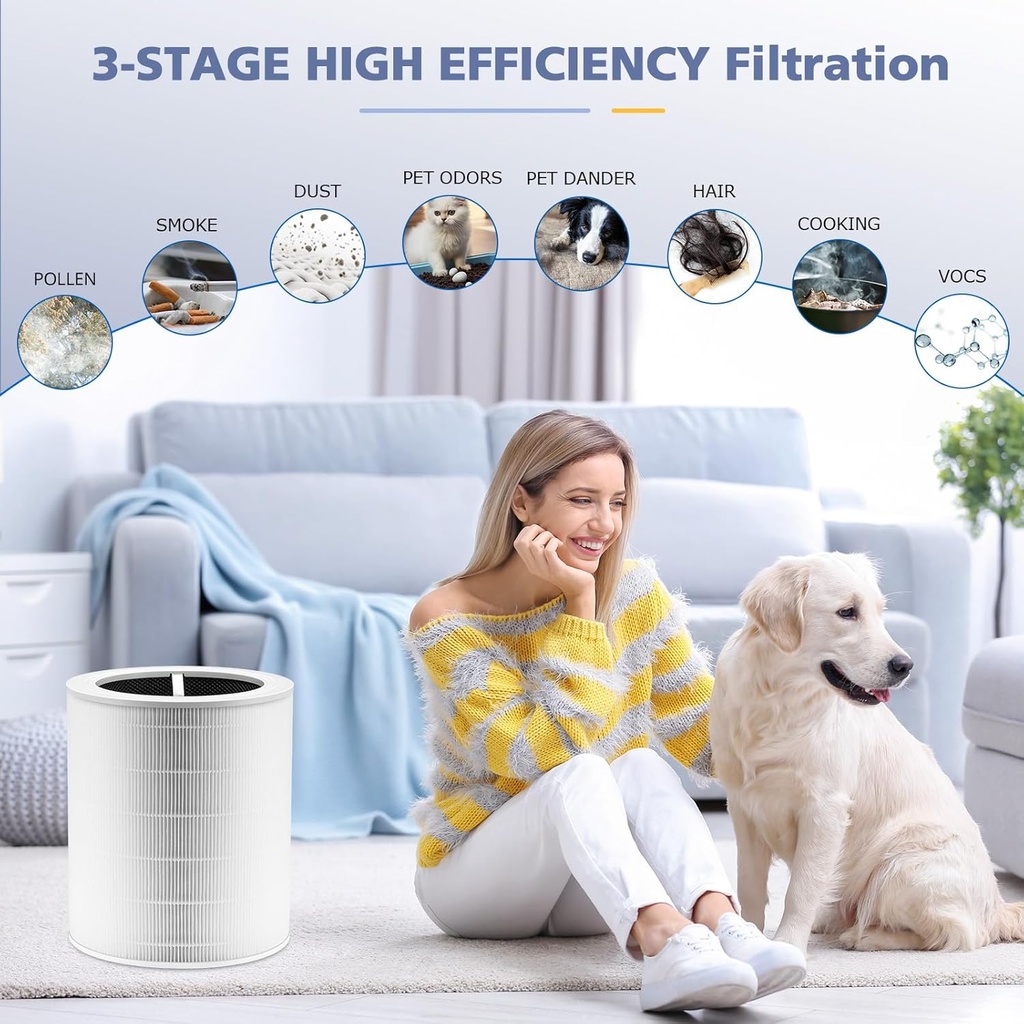 core-600s-replacement-filter-for-levoit--4.jpg