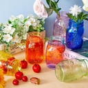 tessco-for-you-12-pcs-bulk-colored-mason-4.jpg