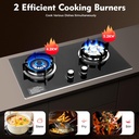 propane-gas-cooktop-2-burners-gas-stove--2.jpg