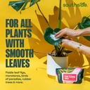 plant-cleaning-wipes-by-southside-plants-6.jpg