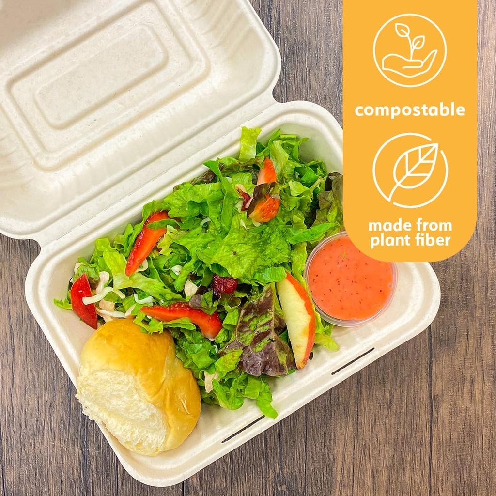 100-compostable-disposable-food-containe-3.jpg