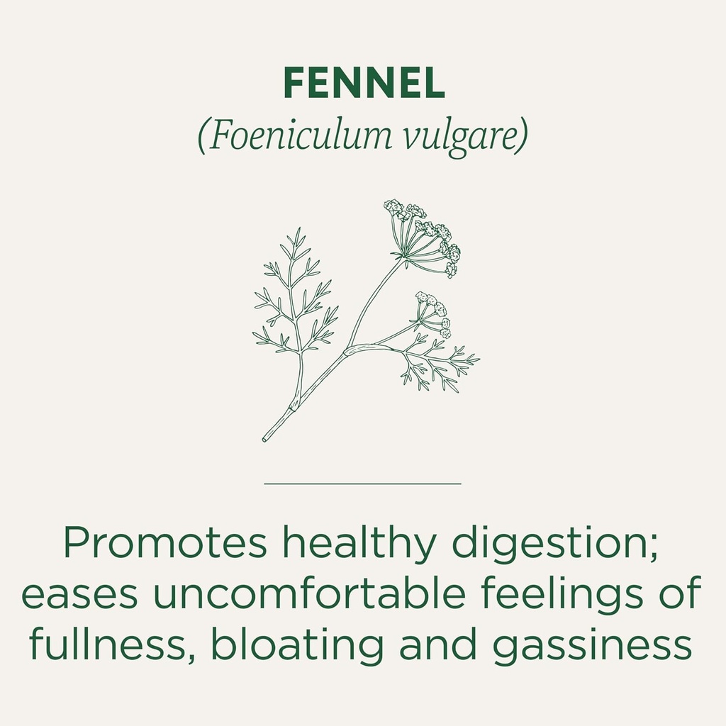 traditional-medicinals-organic-fennel-te-3.jpg