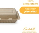 100-compostable-disposable-food-containe-5.jpg