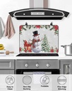christmas-countertop-burners-protection--5.jpg