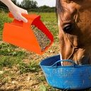 horse-feed-shovel-transfer-shovel-food-s-6.jpg