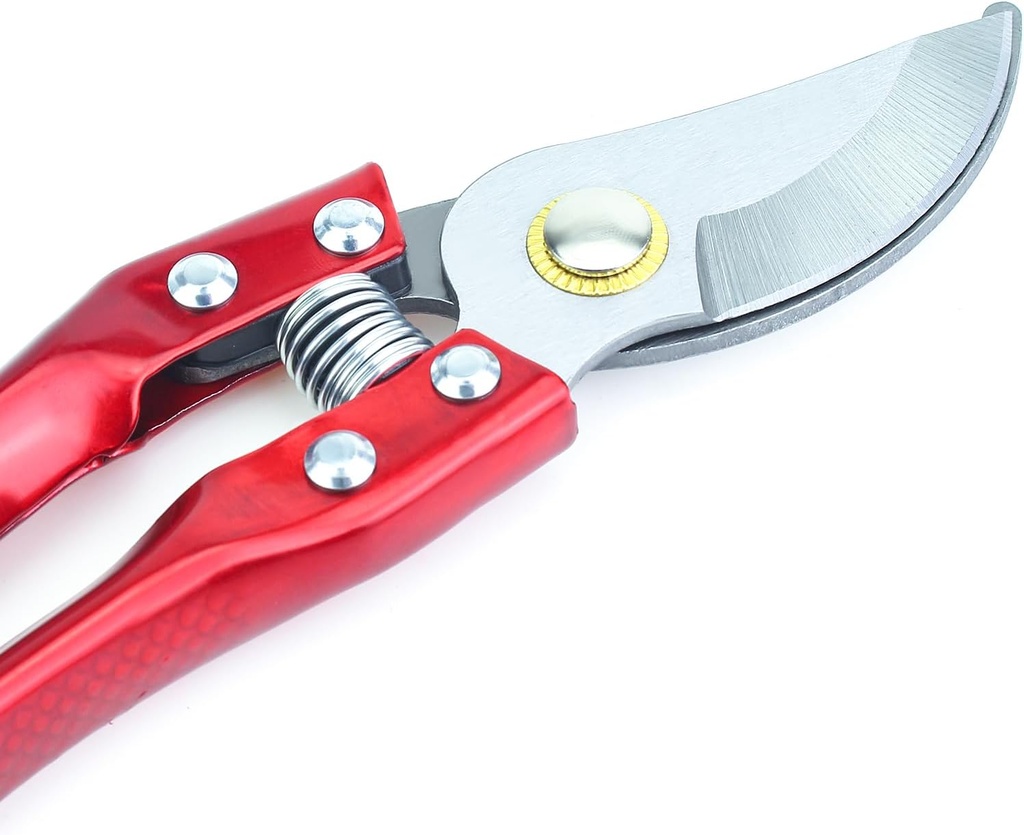 pruning-shears-hand-pruners-pruning-scis-6.jpg