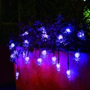 halloween-solar-lights-2pack-30-led-20ft-6.jpg