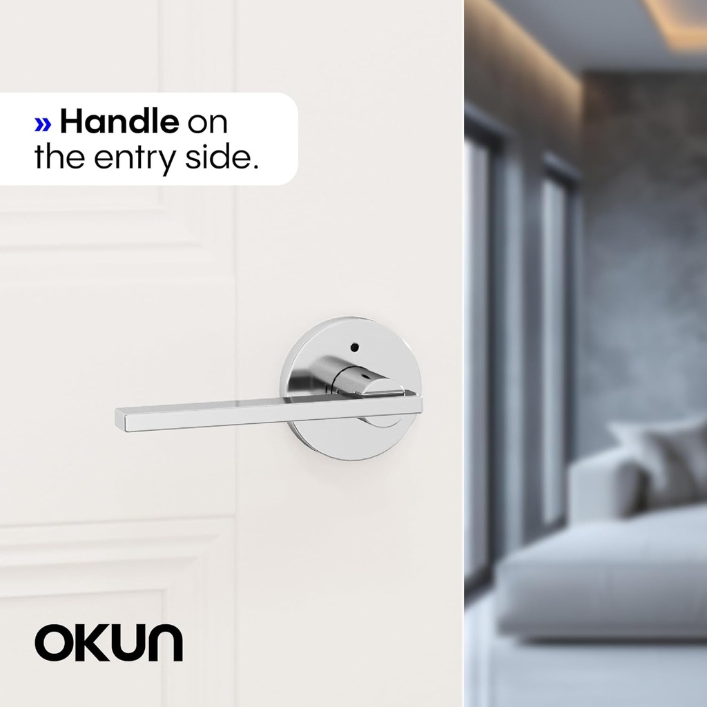 okun-valli-1-pack-chrome-privacy-door-le-3.jpg