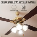 ceiling-fan-light-covers-ceiling-fan-glo-2.jpg