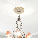 home-lighting-ceiling-medallion-decorati-5.jpg