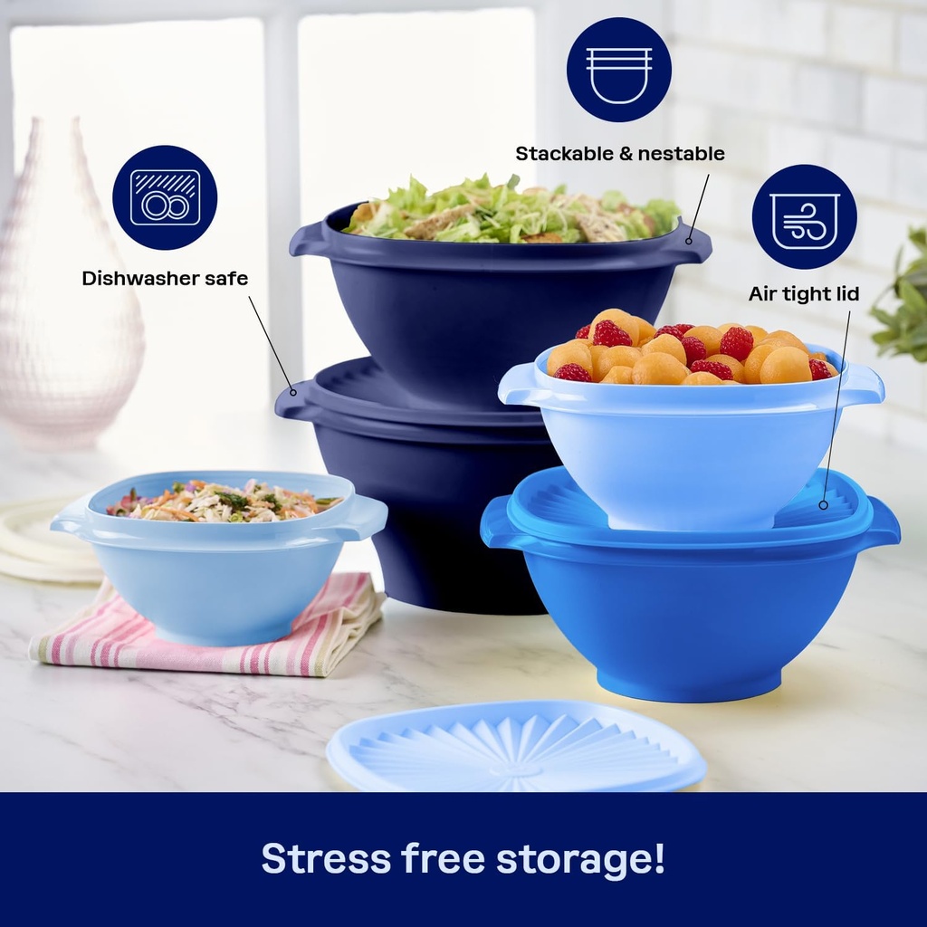 tupperware-heritage-collection-new-10-pi-5.jpg