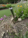 garden-trowel--stainless-steel-garden-sh-6.jpg