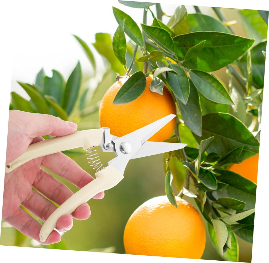 gardening-hand-pruner-fruit-branch-prune-3.jpg