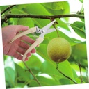 gardening-hand-pruner-fruit-branch-prune-4.jpg