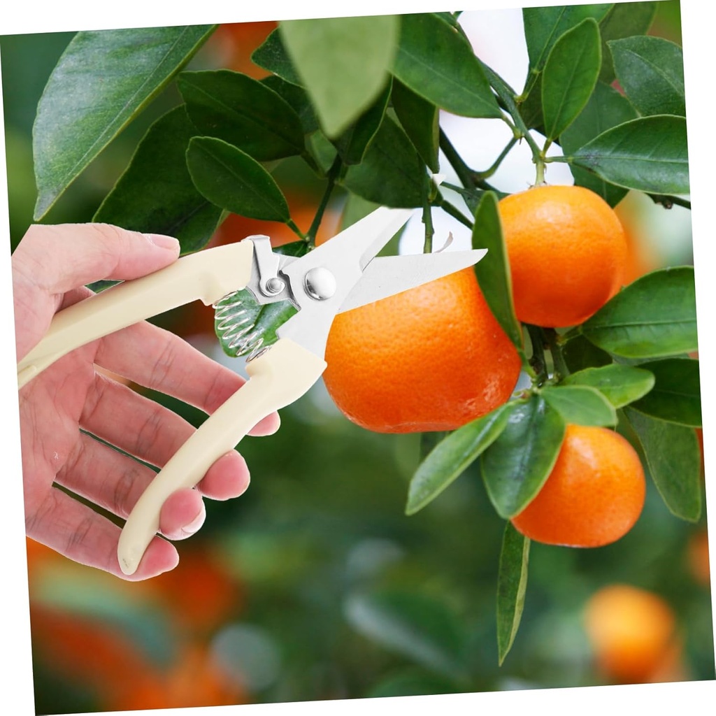 gardening-hand-pruner-fruit-branch-prune-6.jpg