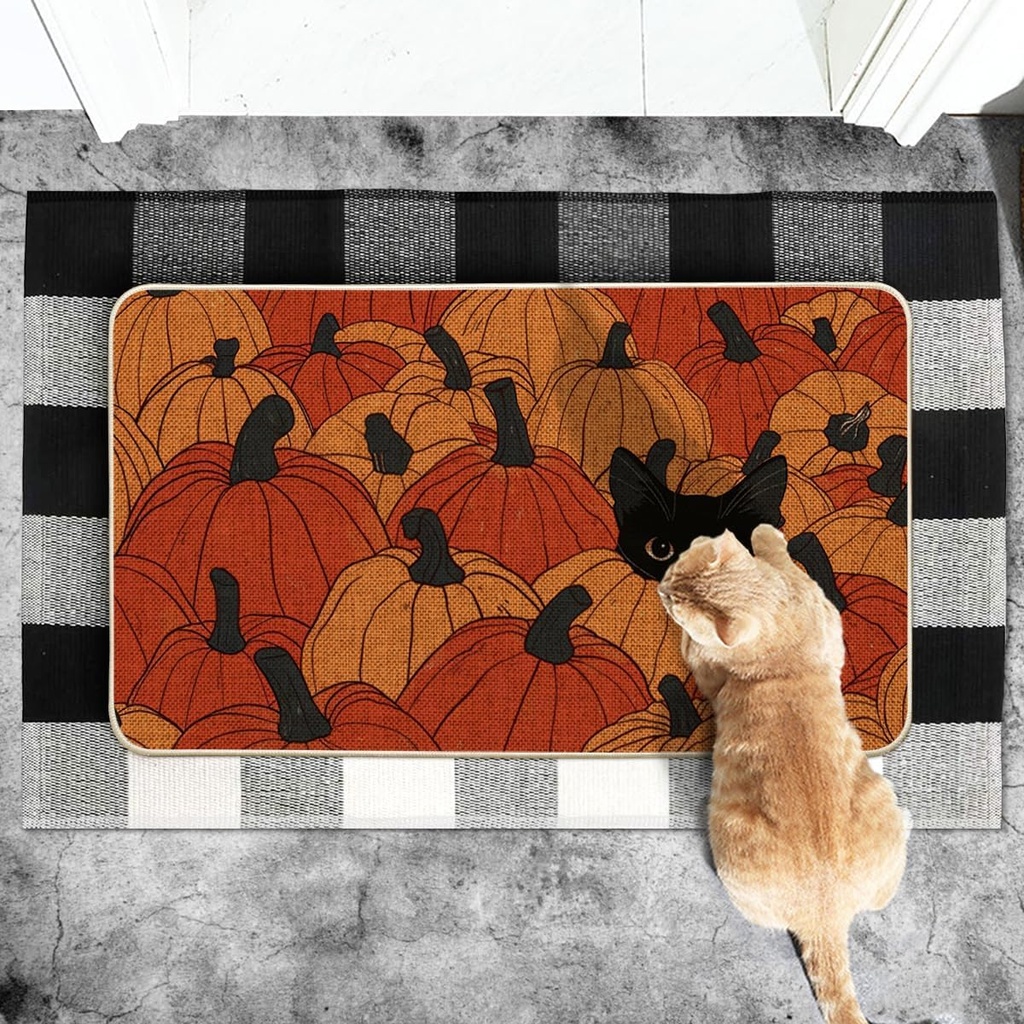 artoid-mode-black-cat-pumpkin-fall-doorm-5.jpg