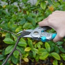 goodsmann-pruning-shears-sk5-professiona-6.jpg