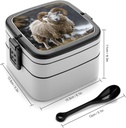 bento-box-for-adult-with-circular-corner-2.jpg