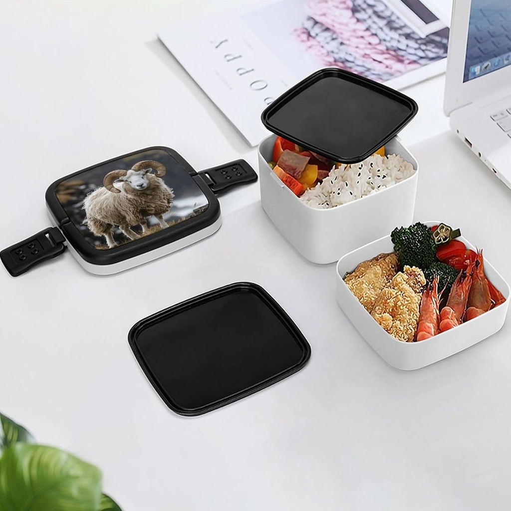 bento-box-for-adult-with-circular-corner-6.jpg