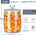 folinstall-1-gallon-glass-cookie-jar-lar-2.jpg