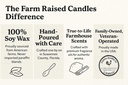 farm-raised-candles-fall-soy-wax-melts---3.jpg