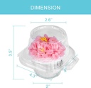 100-pcs-cupcake-boxes-plastic-individual-4.jpg