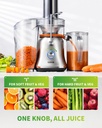 gdor-1300w-powerful-juicer-with-larger-3-5.jpg
