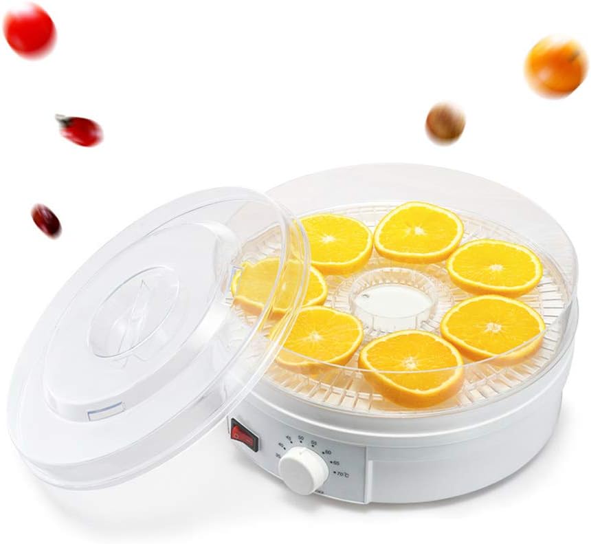 110v-anessoil-food-dehydrator-snacks-deh-3.jpg