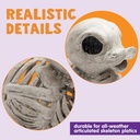joyin-2-pcs-45-duck-skeleton-plastic-bon-2.jpg