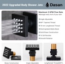 dasan-full-body-shower-system-with-6-pcs-6.jpg