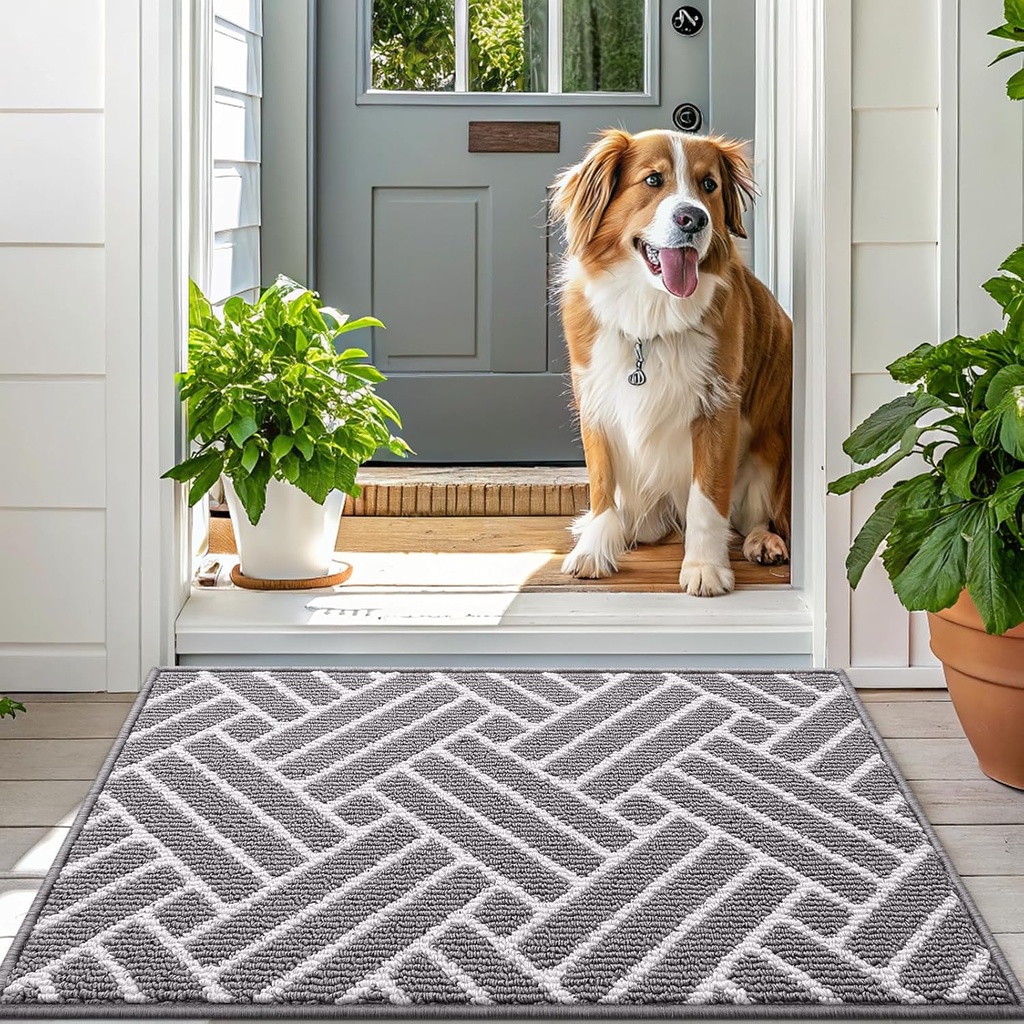 olanly-indoor-door-mat-32x20-inch-dirt-r-6.jpg