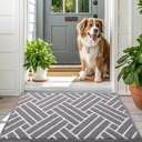 olanly-indoor-door-mat-32x20-inch-dirt-r-6.jpg