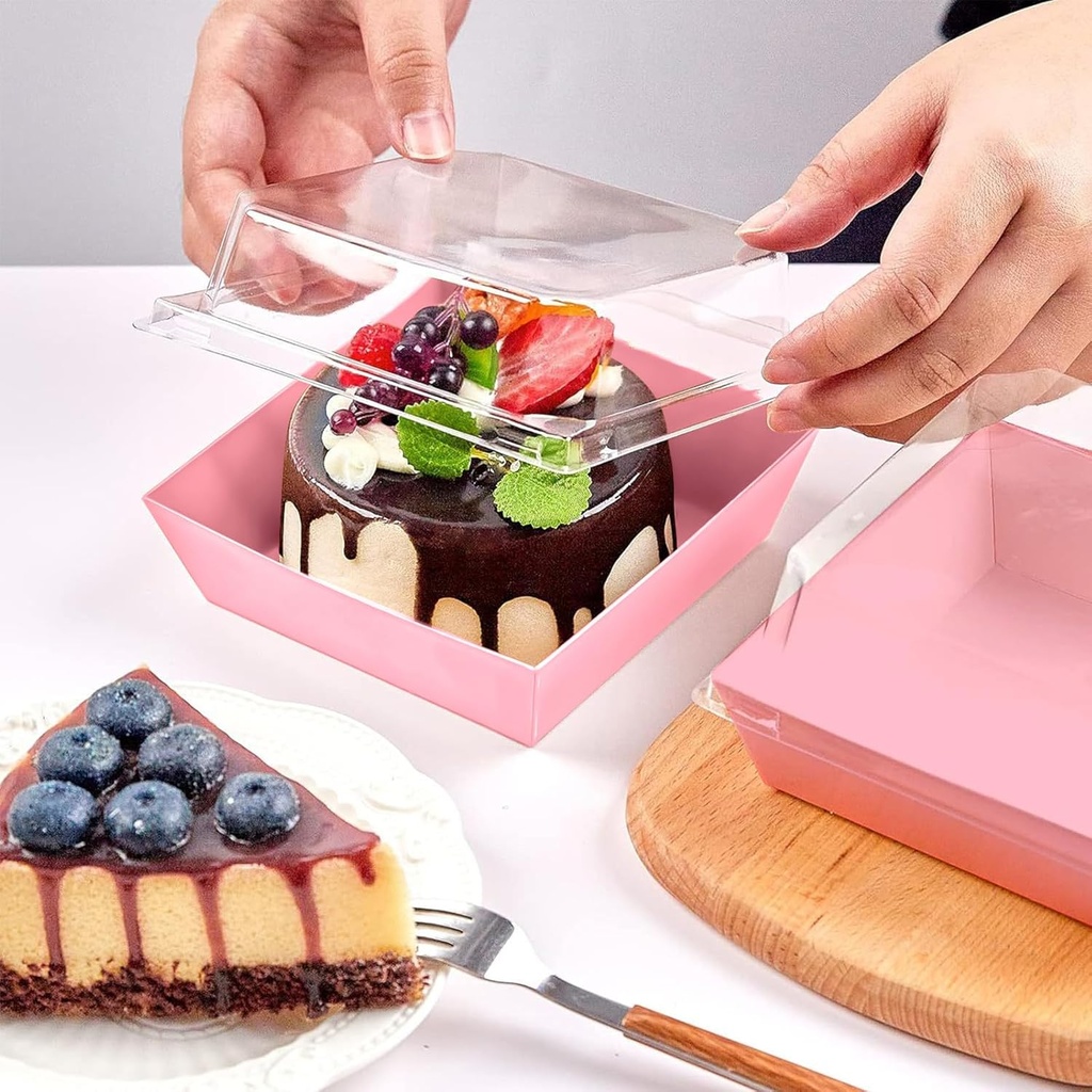 50pcs-cake-slice-boxes-with-clear-lids-p-4.jpg