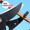 32-inch-cut-and-hold-pruners-long-reach--5.jpg
