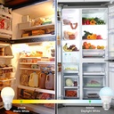 led-refrigerator-light-bulb-40-watt-equi-6.jpg