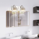 bathroom-vanity-light-modern-brushed-nic-5.jpg