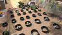 6-pack-of-16-in-planting-rings-for-water-3.jpg