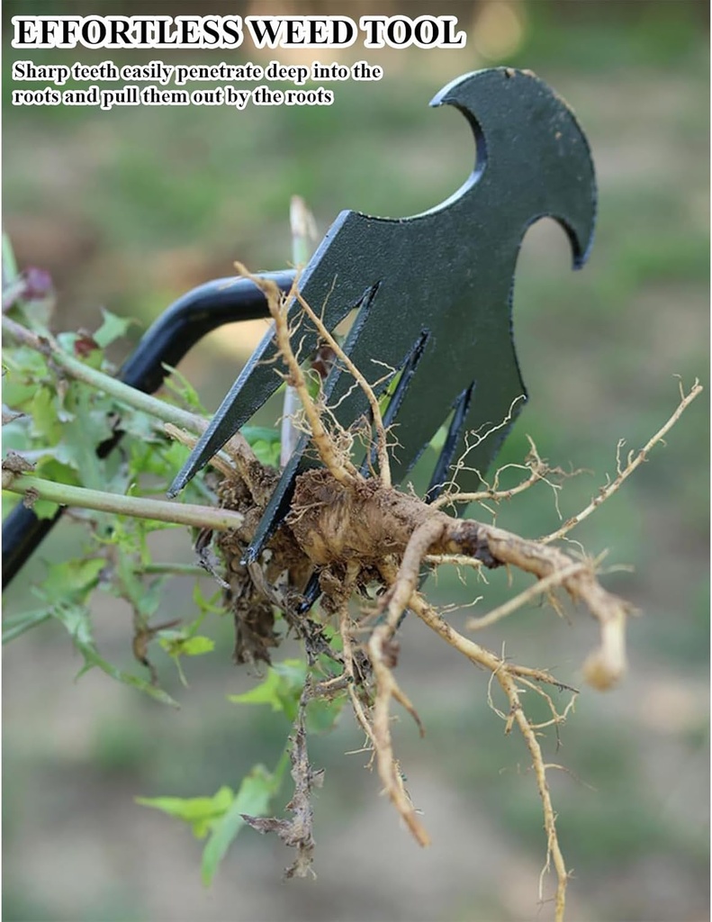 wmm-weed-puller-tool-gardening-tools-set-3.jpg