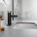 bathroom-sink-faucet-black-and-gold-bath-5.jpg