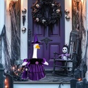 halloween-goose-outfit-porch-witch-goose-2.jpg