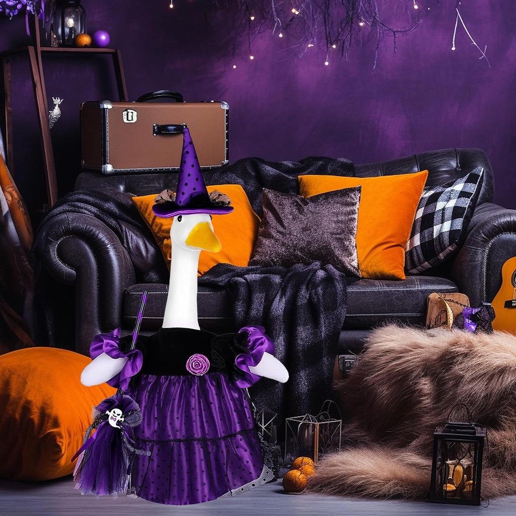 halloween-goose-outfit-porch-witch-goose-3.jpg