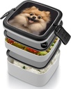 happy-short-haired-pomeranian-bento-box--4.jpg