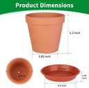 6-pack-6-inch-terracotta-clay-pots-with--2.jpg